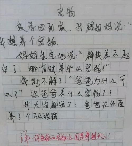 吃瓜作文600字