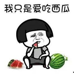 娱乐圈吃瓜的梗有哪些名字