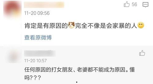 明星家暴爆料热搜视频大全,热搜视频揭露明星家庭暴力真相
