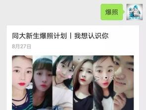 无码番号好看 下载地址,解锁高清下载之旅