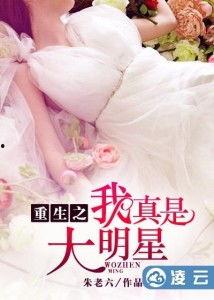 我真是大明星txt下载,TXT下载背后的明星之路