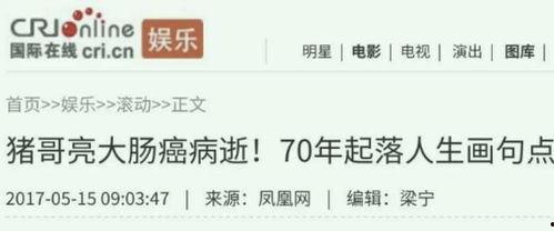 在线av6969,揭秘神秘在线世界的奥秘