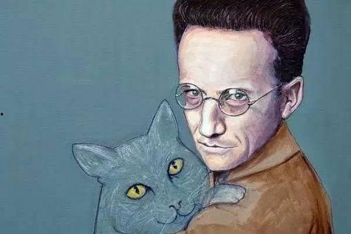 薛定谔的猫免费观看,免费探索薛定谔的猫之谜