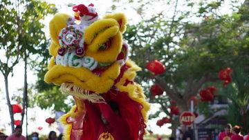 海丰舞狮视频,传承千年民俗文化的精彩演绎