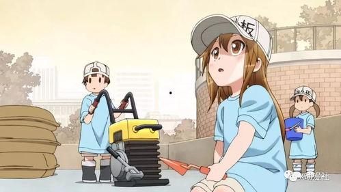 日本邪工番,神秘力量与禁忌科技的惊世之谜